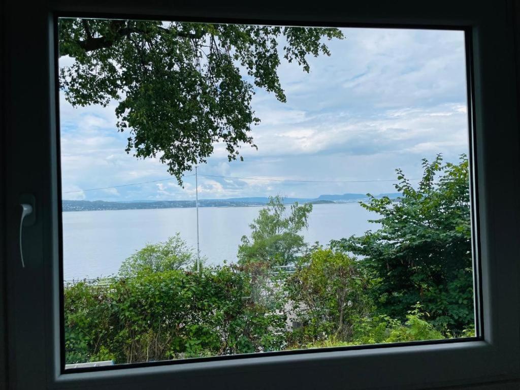 Nice Apartment With1 Bedroom Separate Living Room With A Sofa Bed And A Tiny Kitchen A Bathroom Located In Nordstrand Near By The Sea For 3 Guests With A Garden And Grill 5 Extra Guests With Extra Cost In The Cabin With Sea View Just Outside The Apar オスロ エクステリア 写真